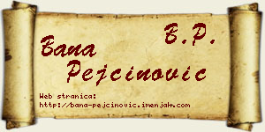 Bana Pejčinović vizit kartica